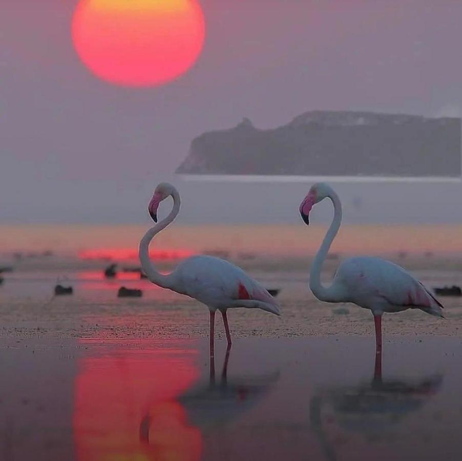 Suite Sardinia Holiday Cagliari Zewnętrze zdjęcie